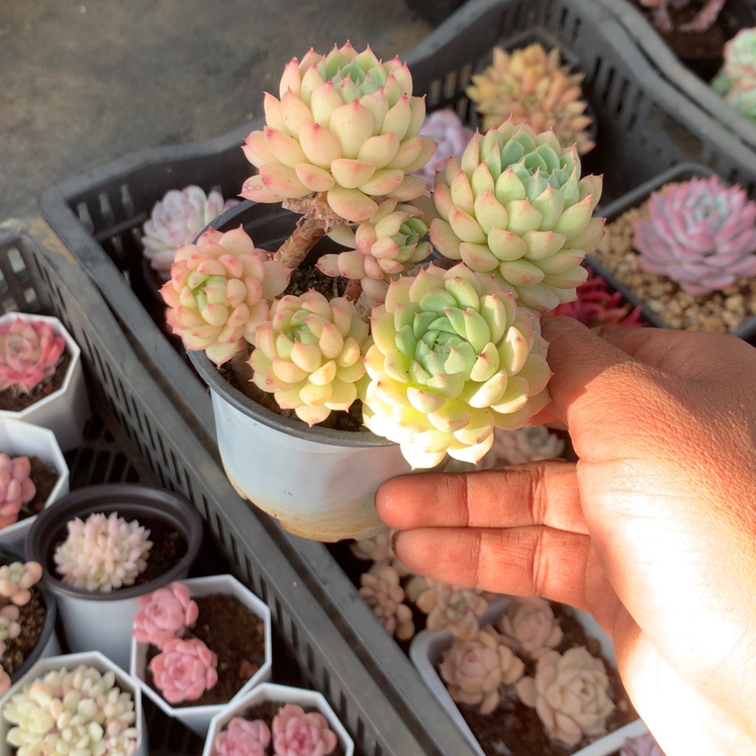 玲***听那时候是在医院做检查了么