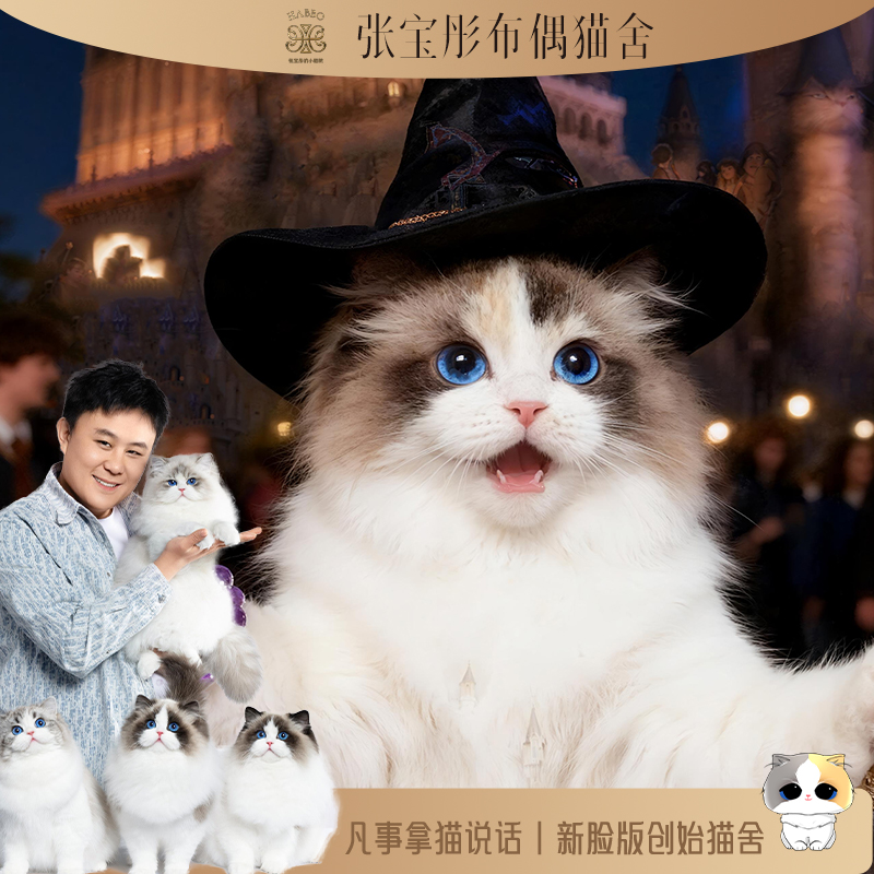 张宝彤布偶猫舍-麻薯妹妹 | 新脸版创始猫舍