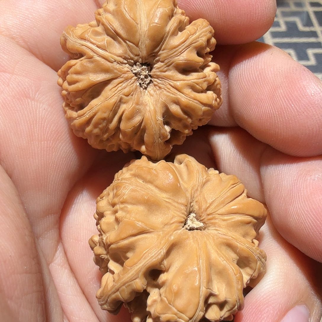 文玩核桃吊坠贰**巴御龙