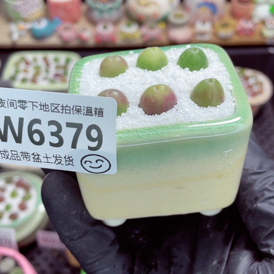 夜间零下地区拍保温箱w6379