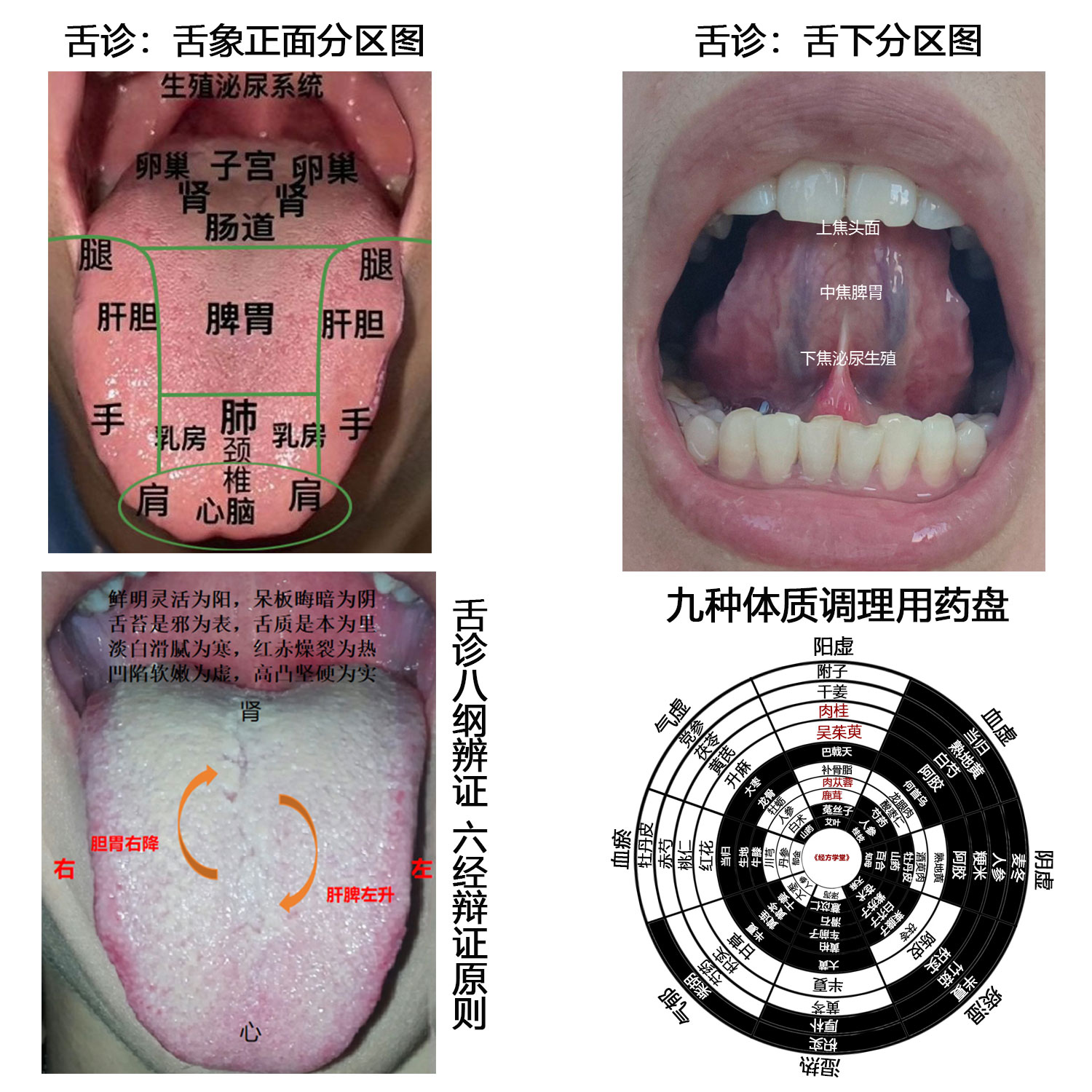 经方学堂系列四张彩印海报中医学习图舌诊手诊脉诊望诊四诊太极图