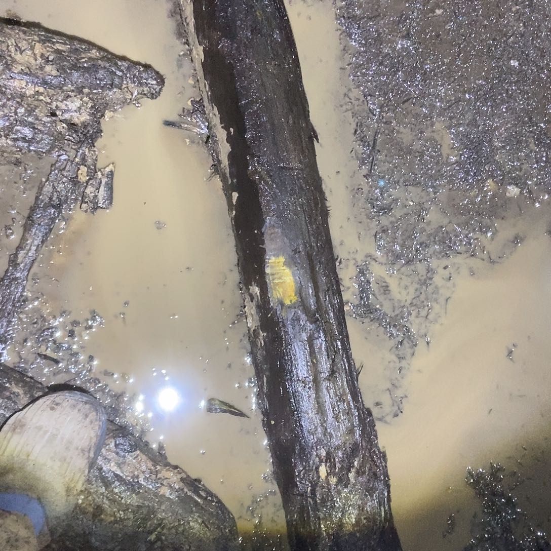 金丝楠阴沉木毛料