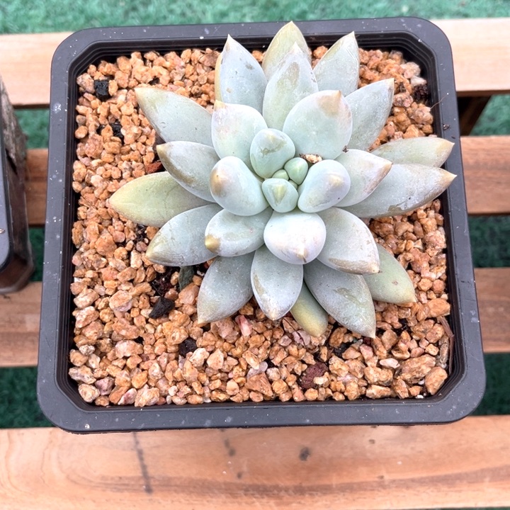 一个人的时候偷偷看你的微博上班