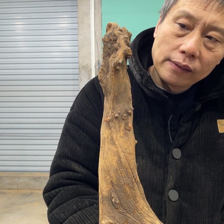 柏*林我们都是好孩子呀