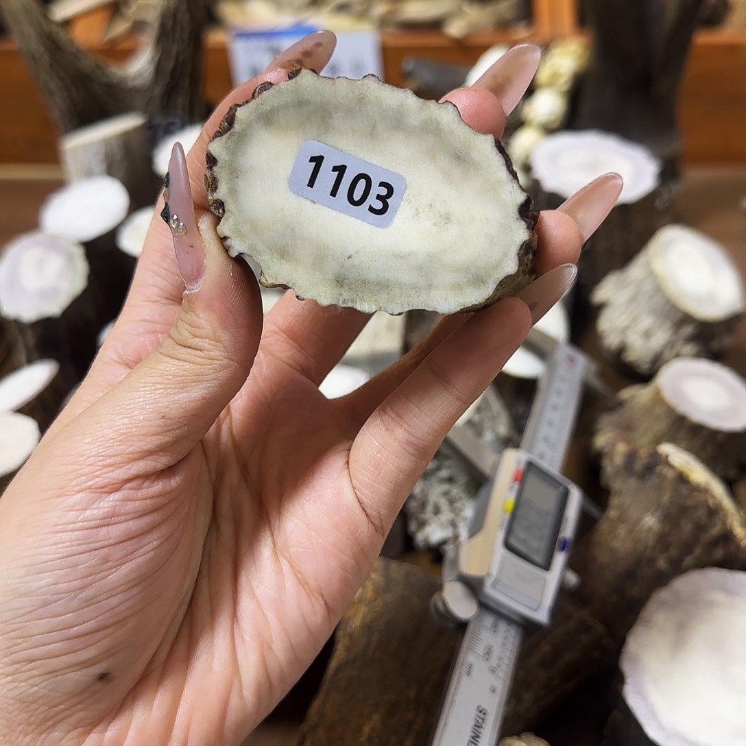 鹿骨手串/手链1103片