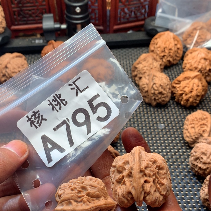 吊坠文玩核桃金蝉王