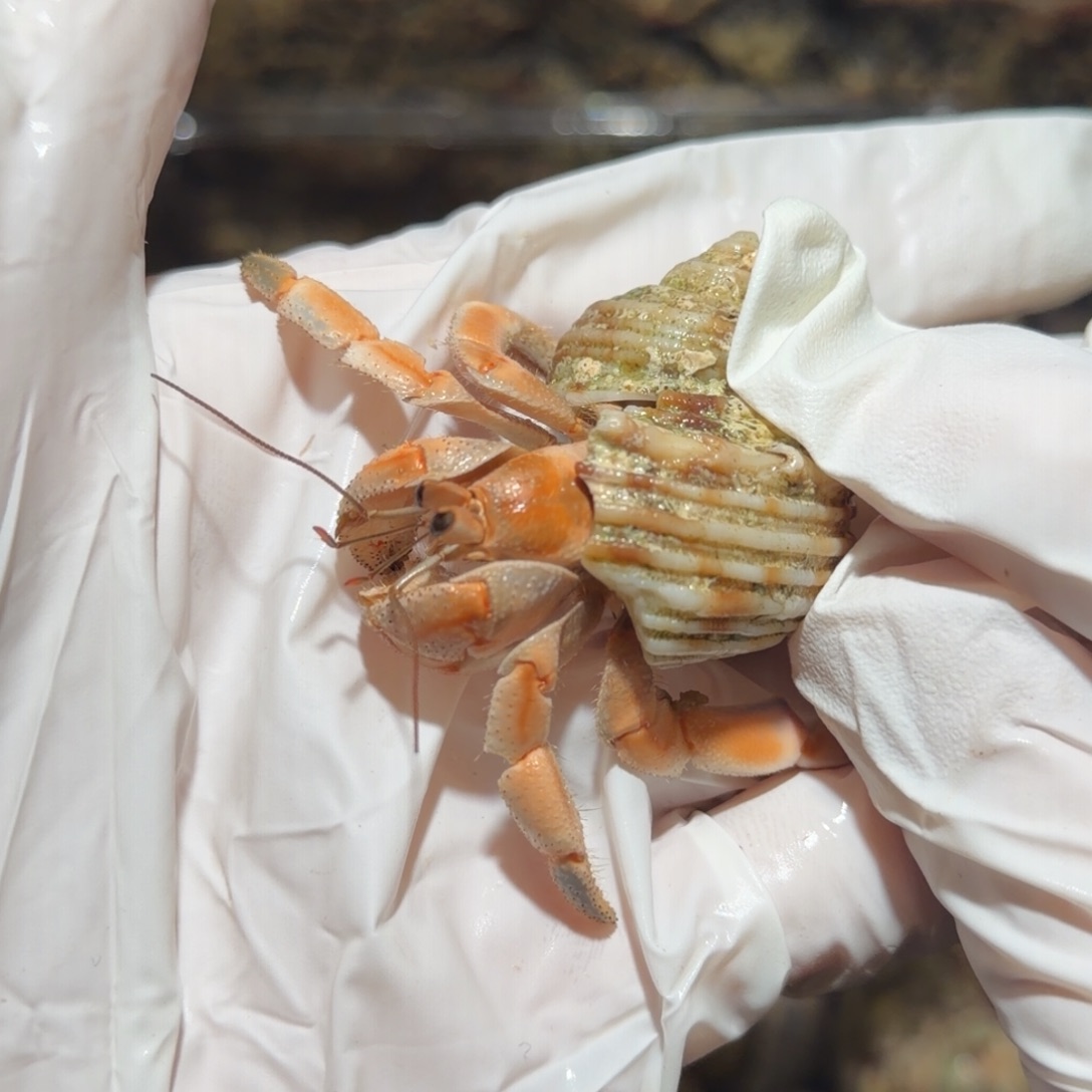 2.1口 1 哇哇哇哇哇