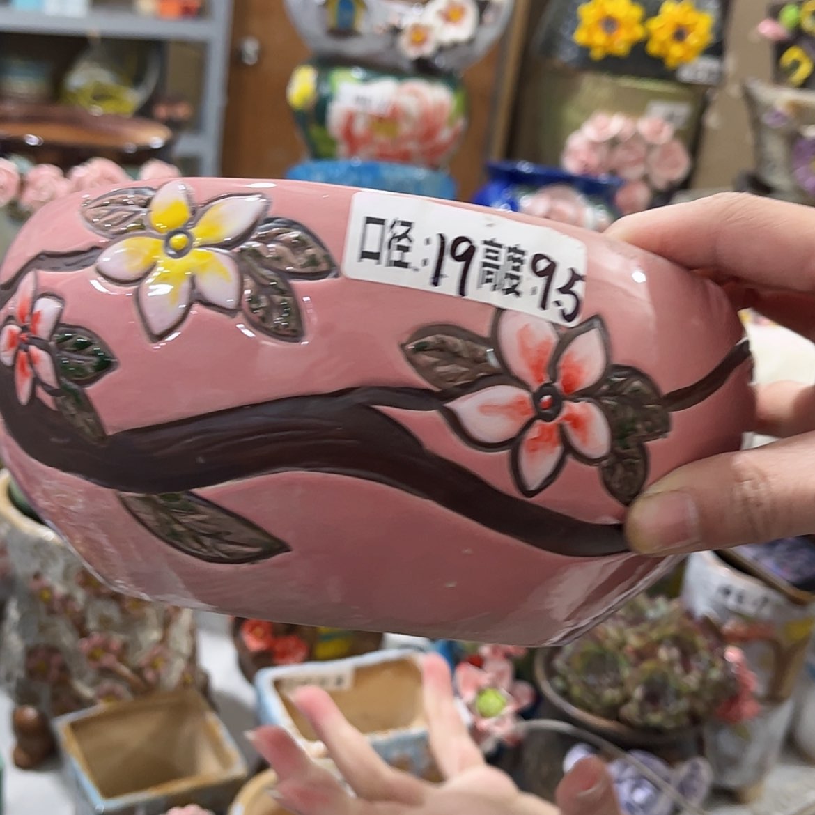 【闪购商品】红陶福利