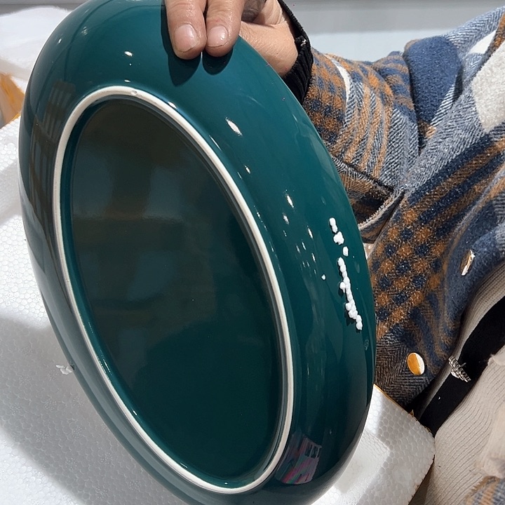 新骨瓷鱼盘1只装