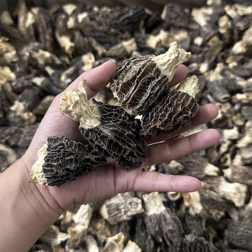 【福利】大破损云南羊肚菌净重无碎渣无干燥剂无泥无沙自吃性价比高