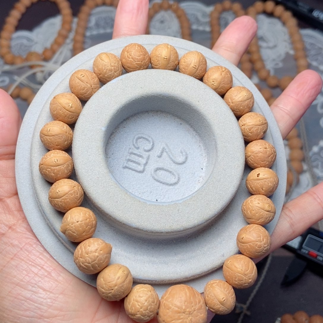 吊坠凤眼菩提凤眼12新籽