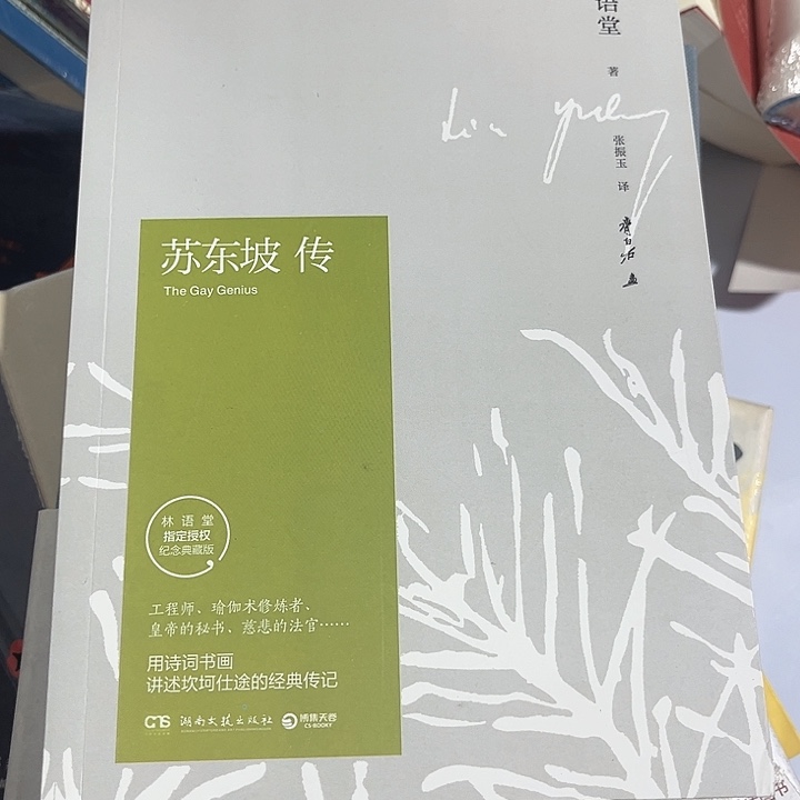 苏东坡传全新推荐