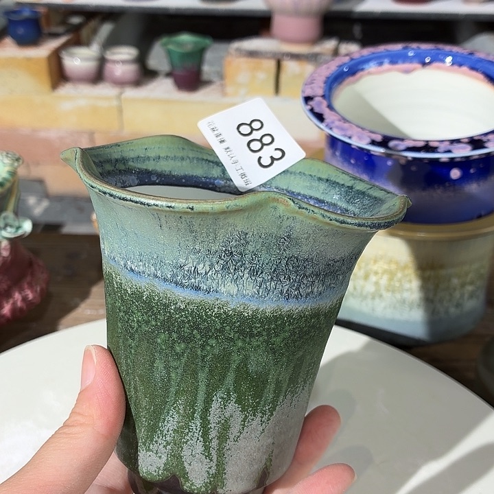 花盆花盆花盆花盆花盆