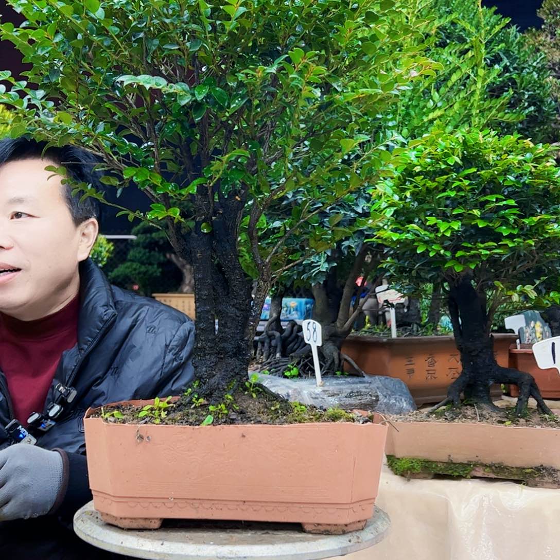 以实际为准用****8