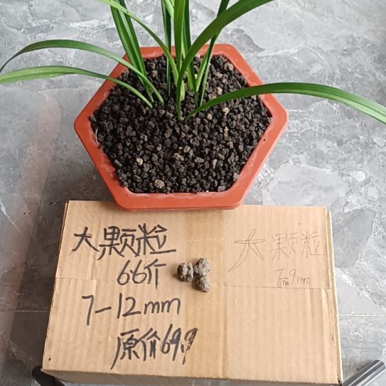 理***解兰菌黑山土大颗粒6.6斤