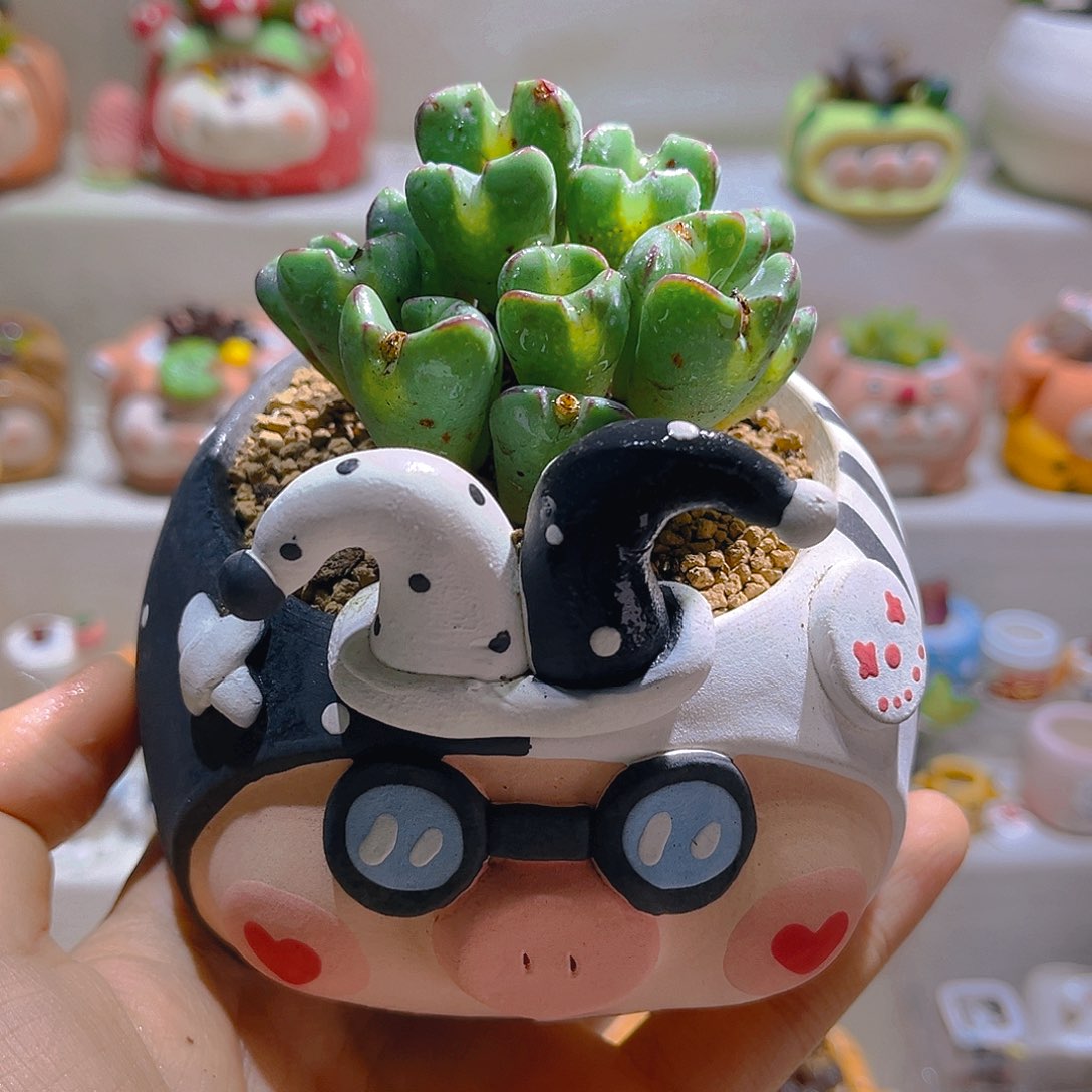 022皮卡丘大群带盆土一套98