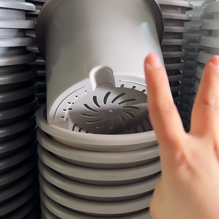 四季6号灰白无托10个特价微瑕