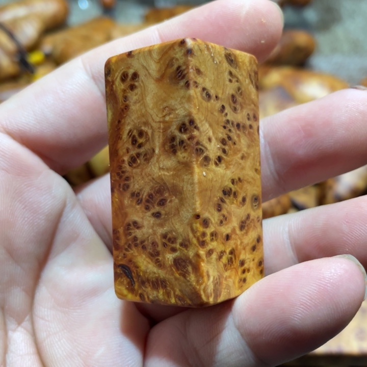 其他柏木（崖柏）把