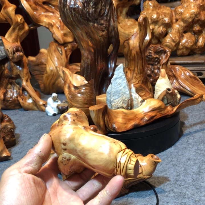 柏木（崖柏）w*y崖柏4