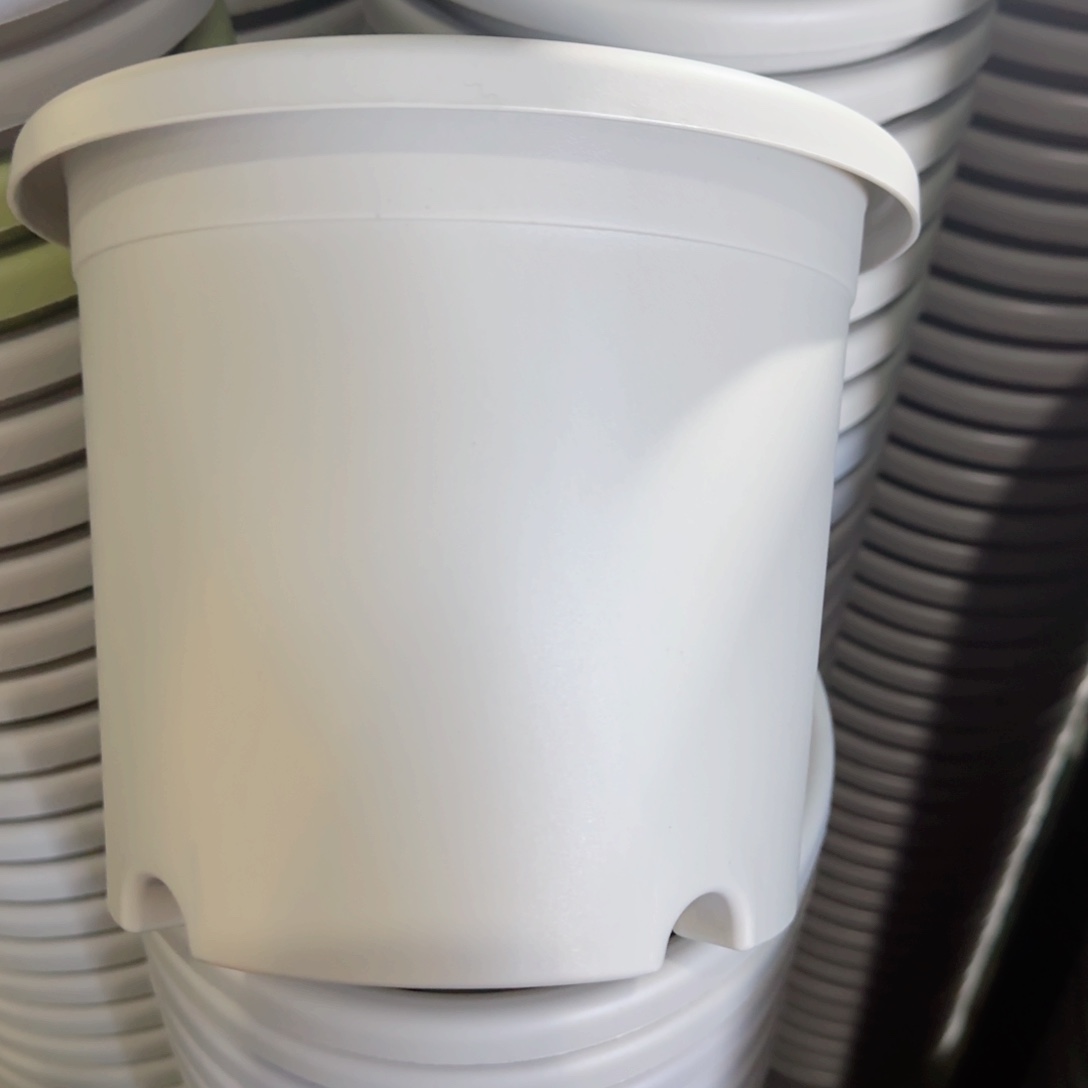 树脂特价3#无拖灰白10个