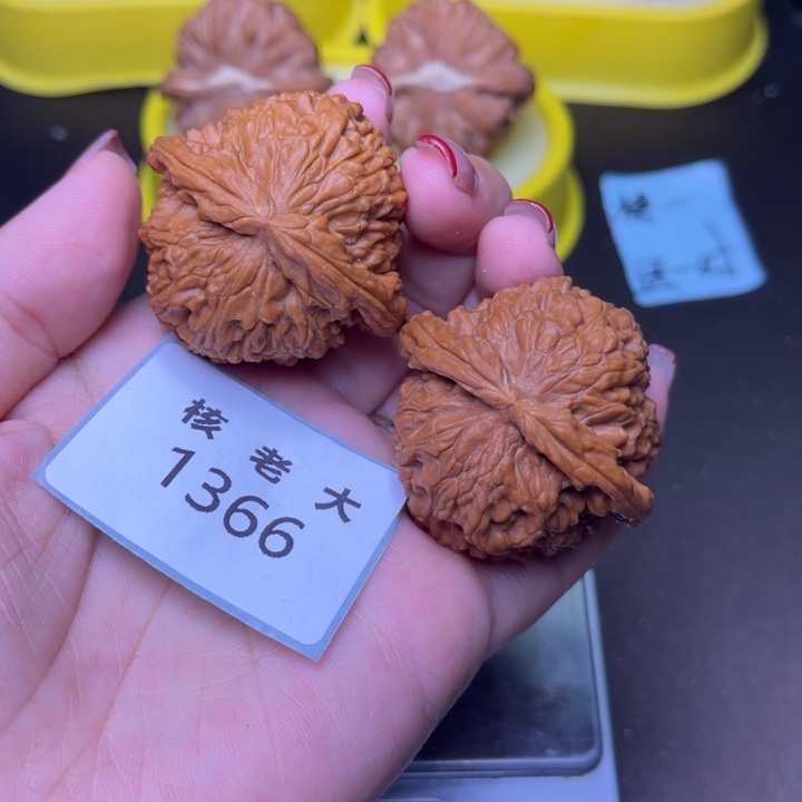 把件文玩核桃白狮子42.1366