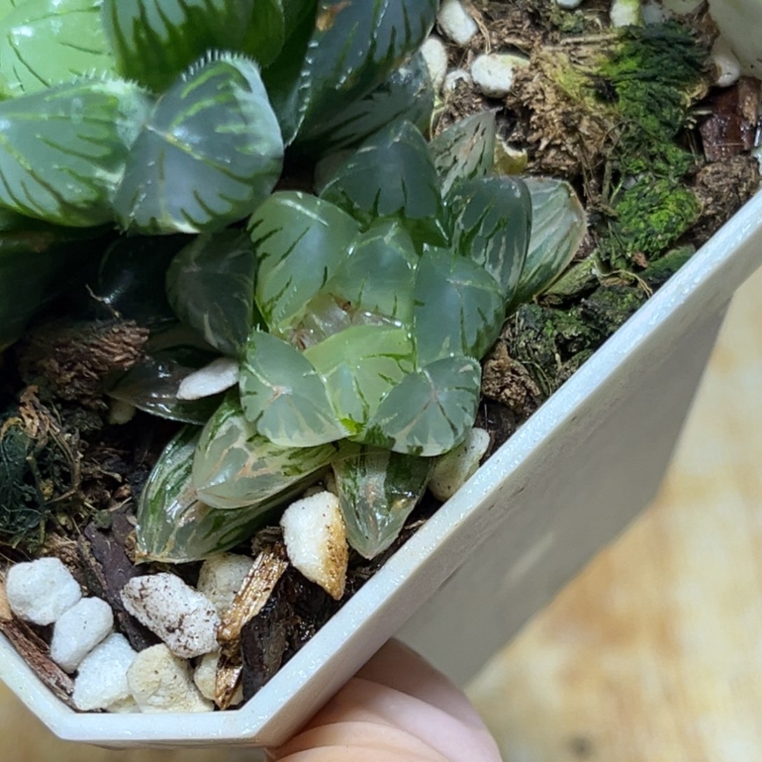 恭喜发财大吉大利802