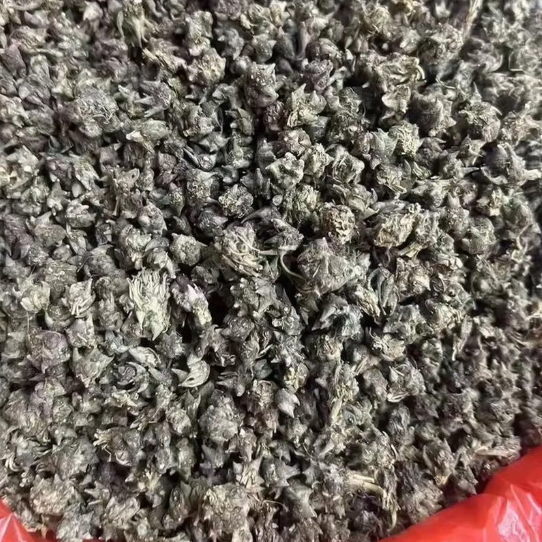 云南深山【猫-爪-草】山货农产品250g