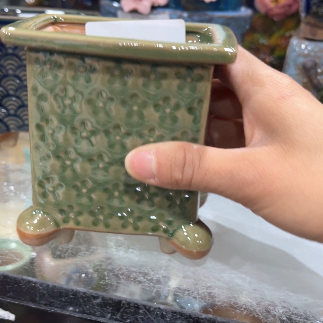 红陶福利福利福利