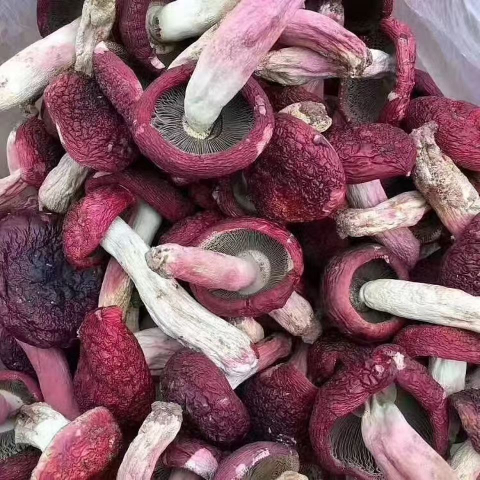 【红菇】云南红菇现收煲汤煮汤炒菜营养鲜嫩香菇250克