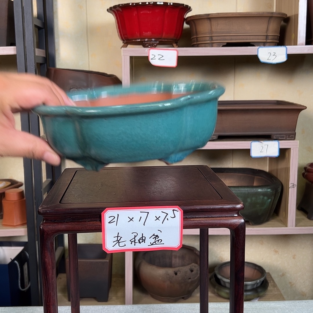 威***风紫砂花盆2866999998889