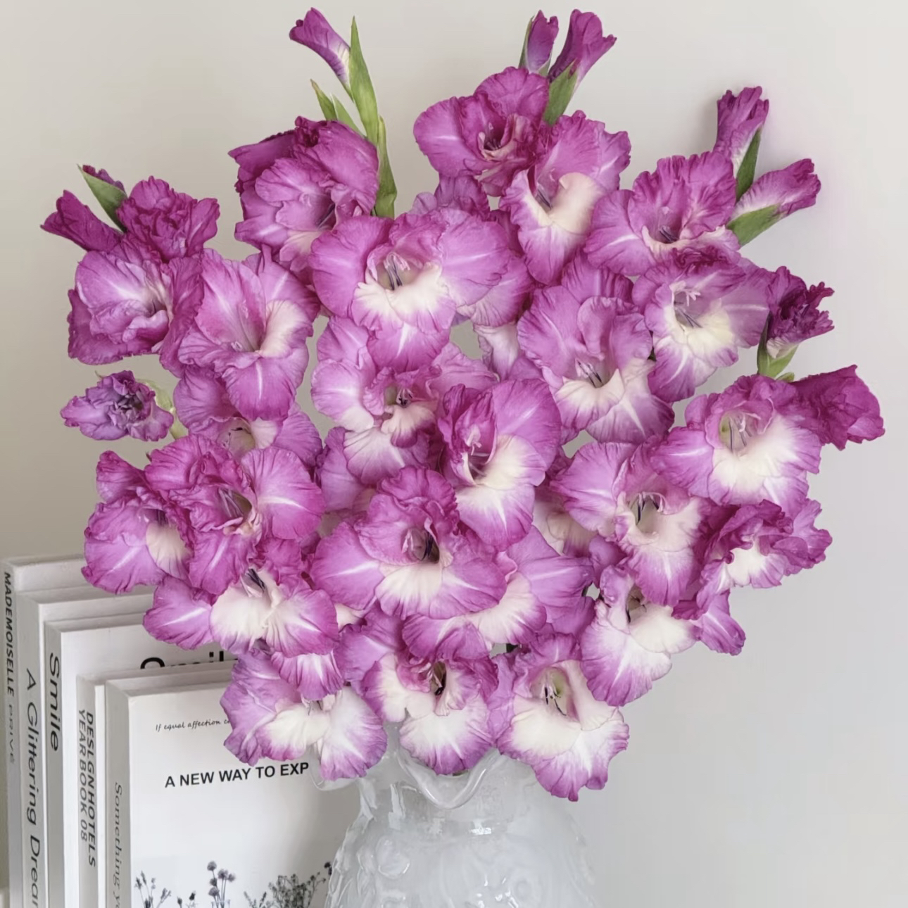 【杨鹏鲜花】朱丽叶 剑兰 云南鲜花包邮