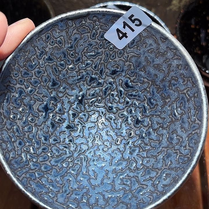 茶盏我要看一部我看三季