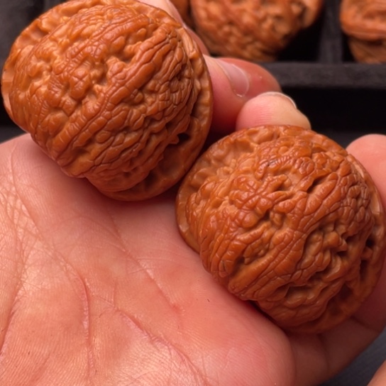 文玩核桃把件111111111111111