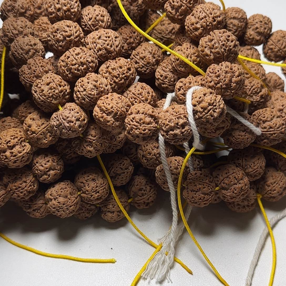 金刚菩提手串21尺寸霸王龙