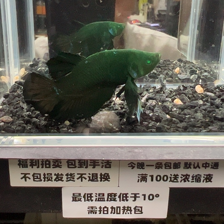 斗鱼跑单拉黑二十日93