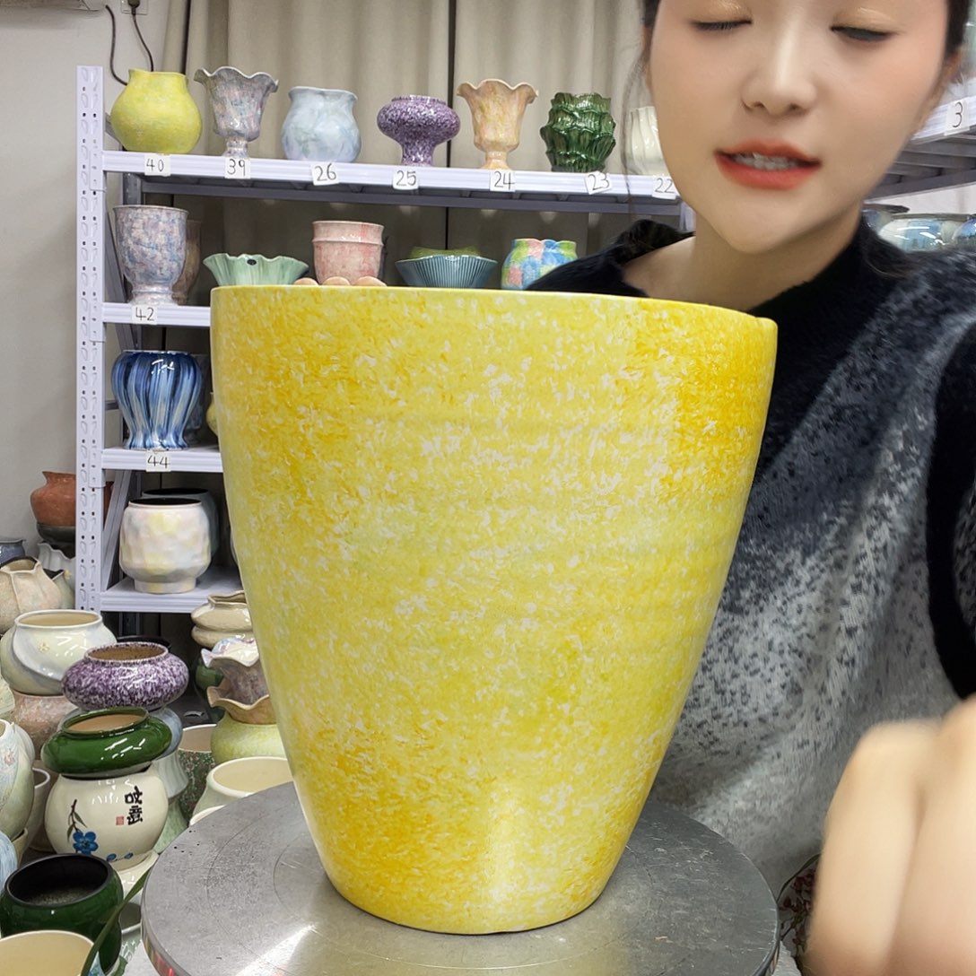 花盆里的小猫咪们都好可爱啊