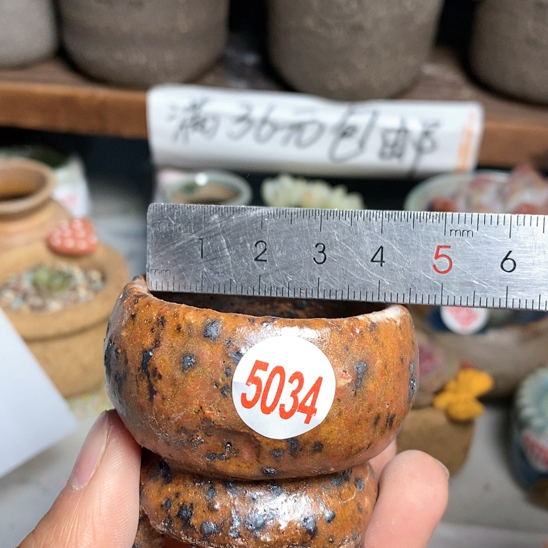 红陶拍5送一个小