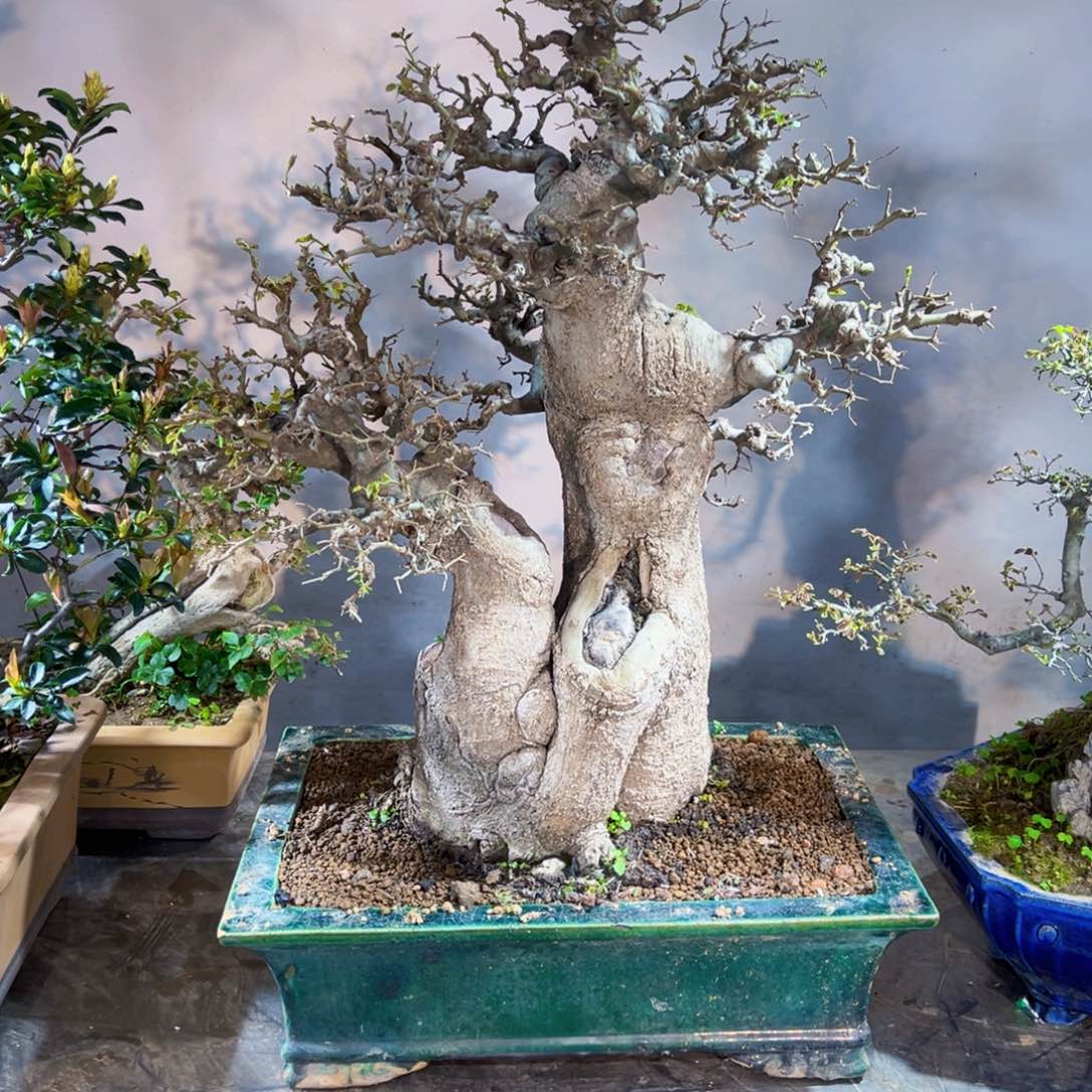 深****司11111111111222