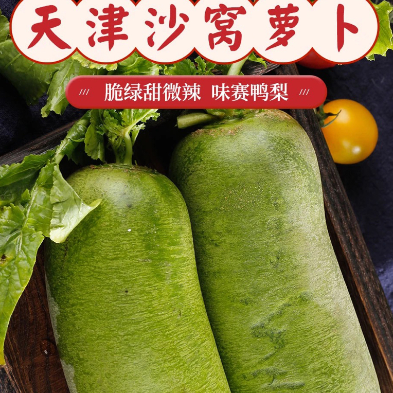 （真有才专属）天津特产沙窝萝卜天星二号酥脆甜水气大净重五斤装