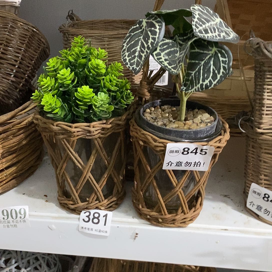 花瓶直播间价格一只