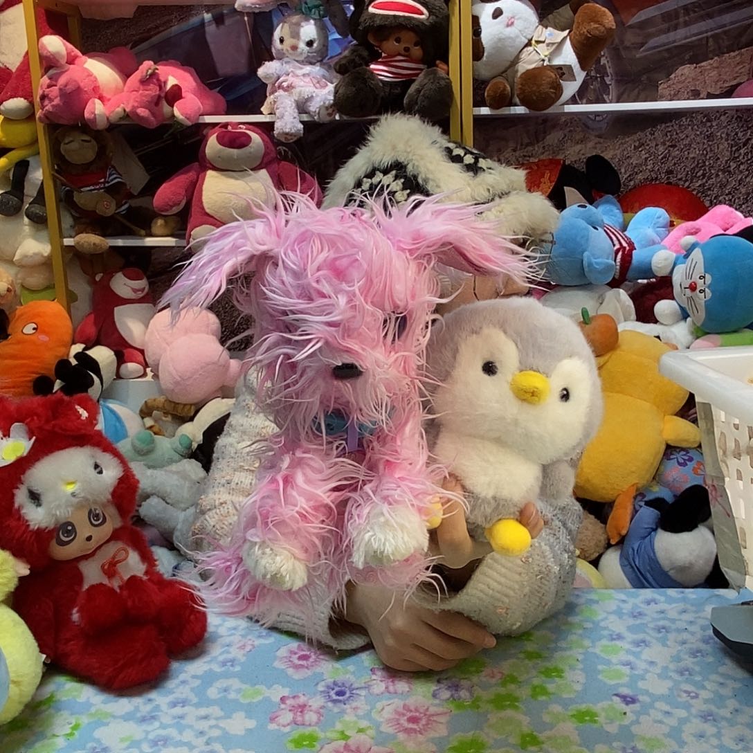 毛绒⸌****毛绒玩具686