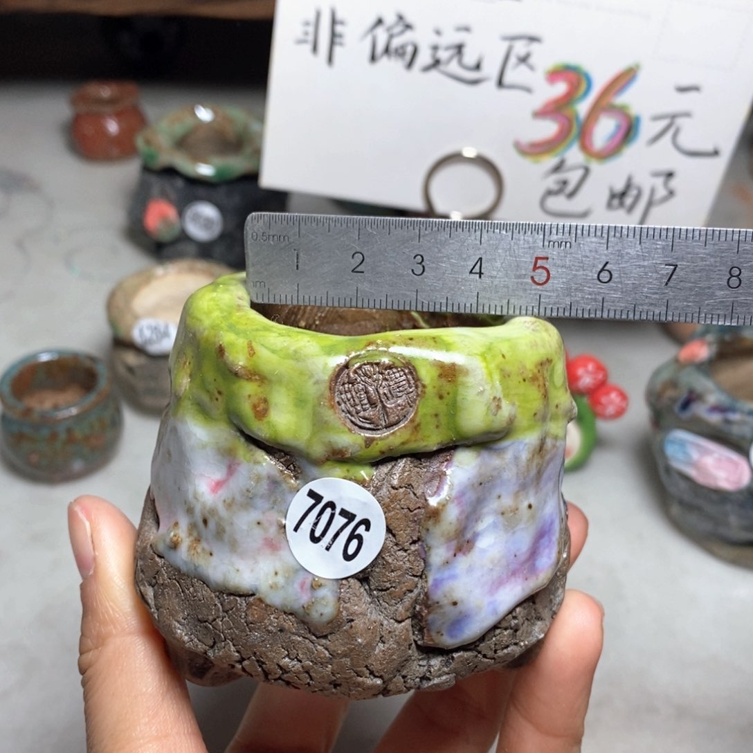 花盆双12特价活动不退不换原价32