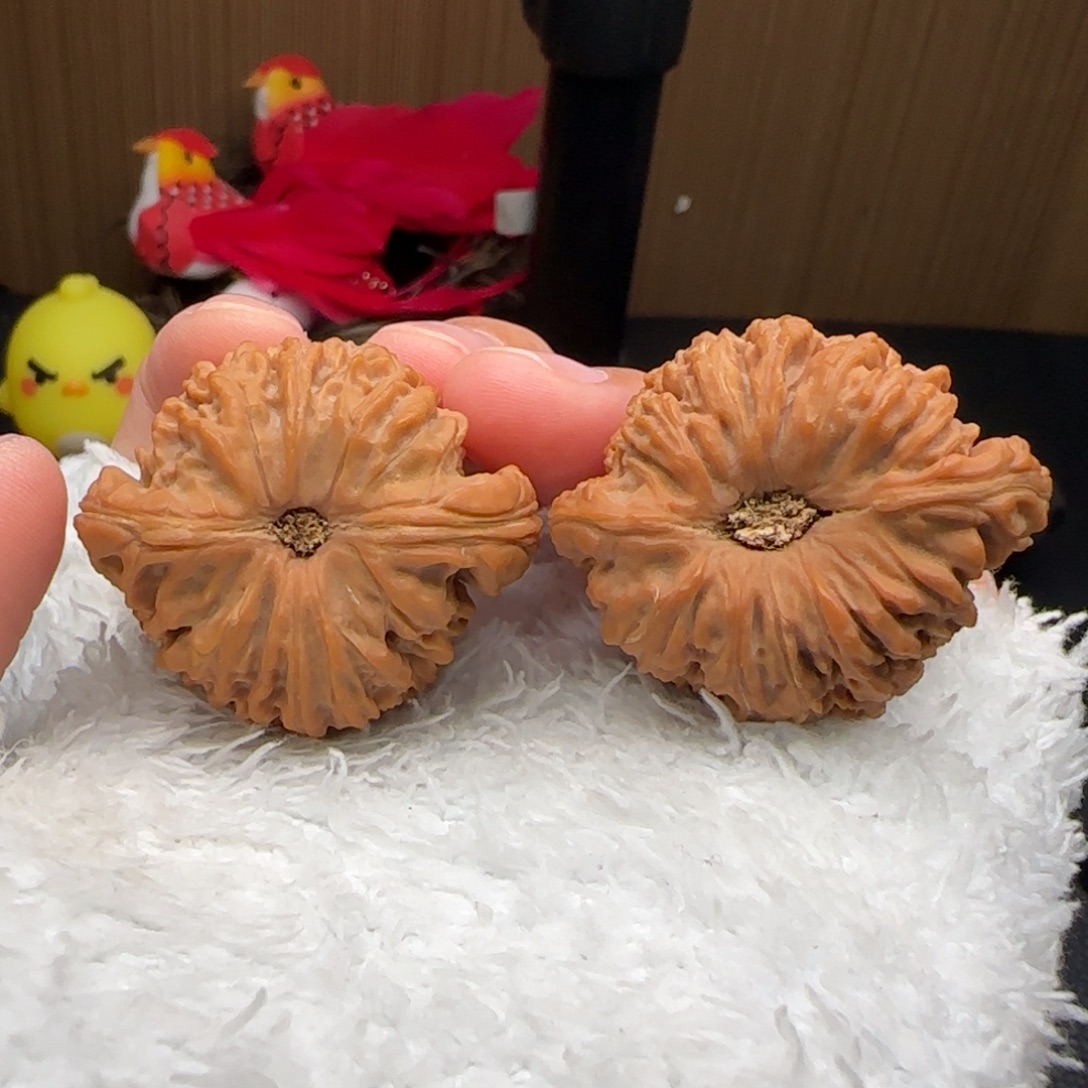 把件文玩核桃凹底南疆石全品38