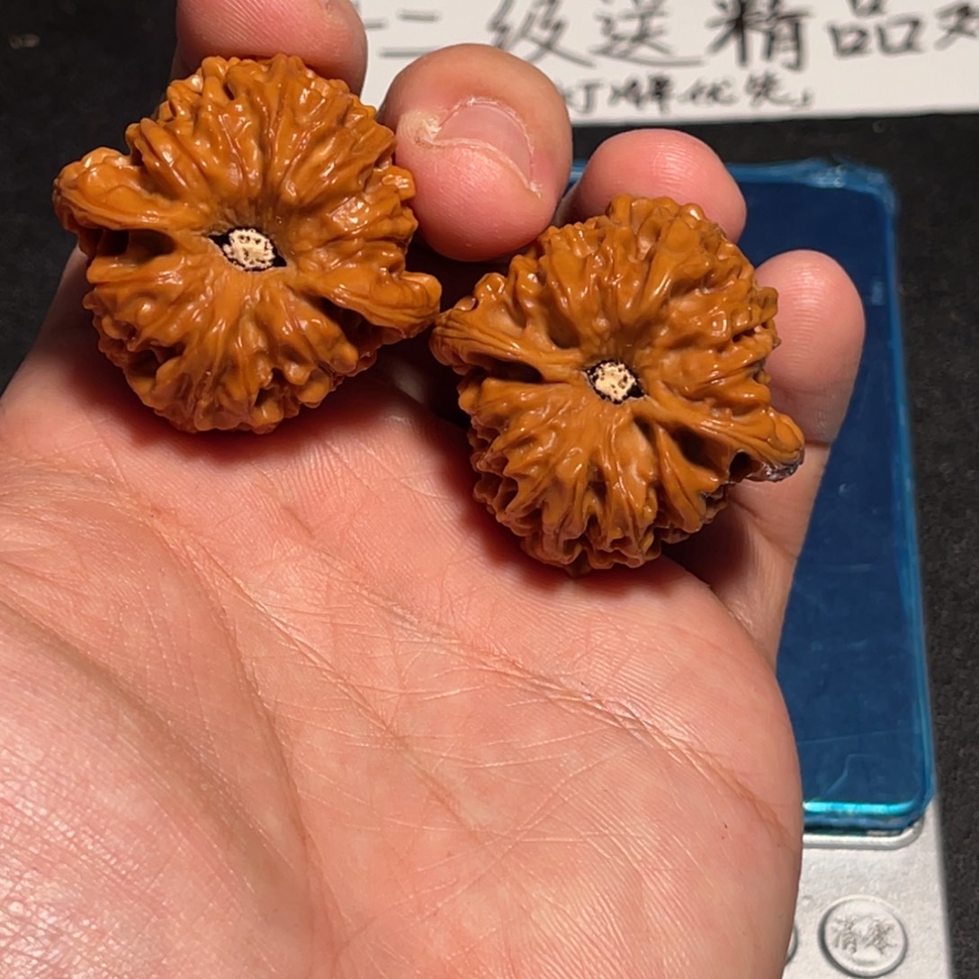 37深坑凹底龙门涧已打底有修