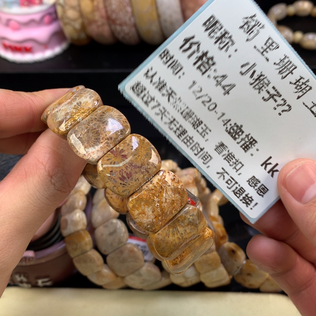 小****硅化珊瑚（珊瑚玉）未镶嵌颈饰