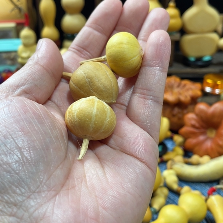 花***宅118美好的一天从吃瓜开始啦