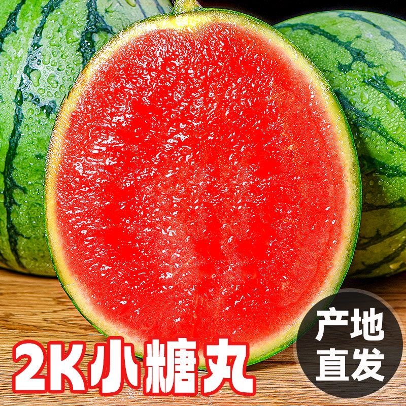 【现摘现发】头茬小糖丸瓜直发手撕4K西瓜无籽肉厚清甜多汁应季水果