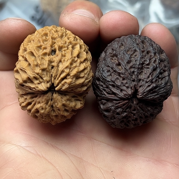 把件文玩核桃31号铁狮子40尺