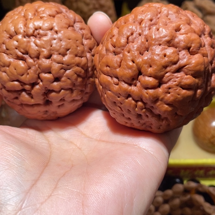 桃核把件脑纹金刚菩提