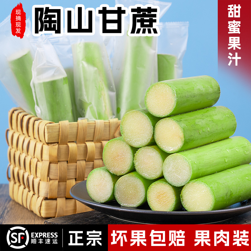 陶山甘蔗新鲜绿皮果蔗无水裂当季青皮甘蔗3-5斤甘蔗果肉独立包装